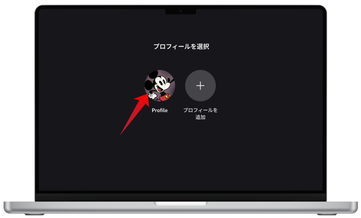 Disney+公式WEBページのプロフィール選択画面