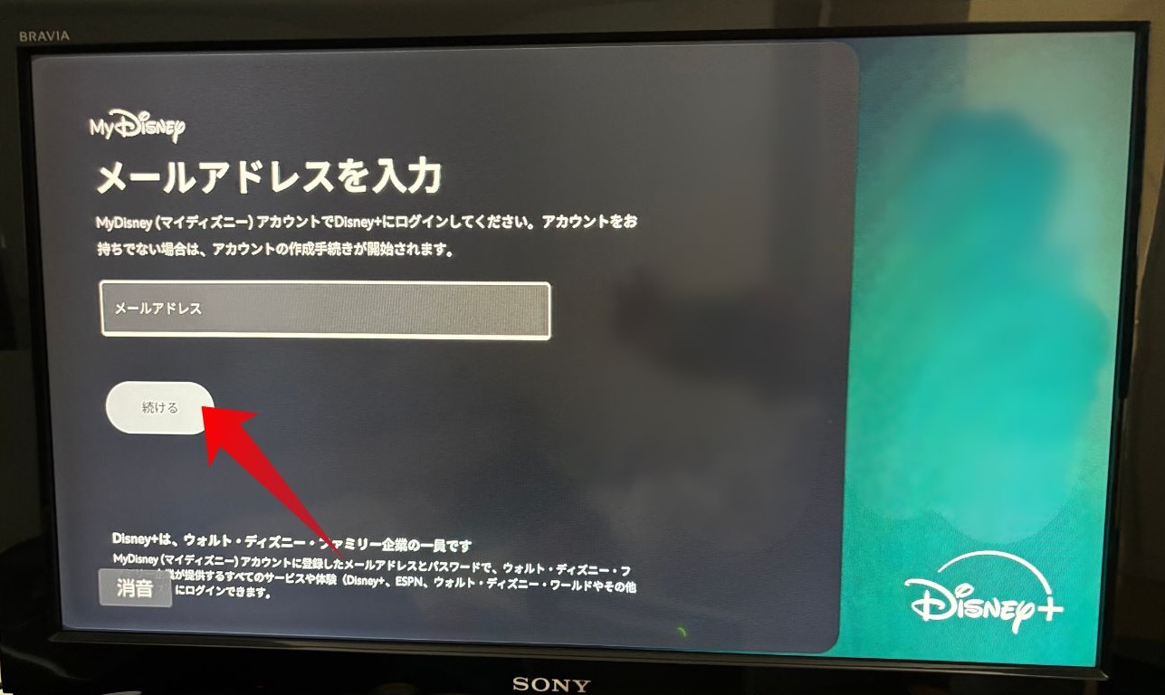 Amazon Fire TV StickでDisney+アプリにログインする画面